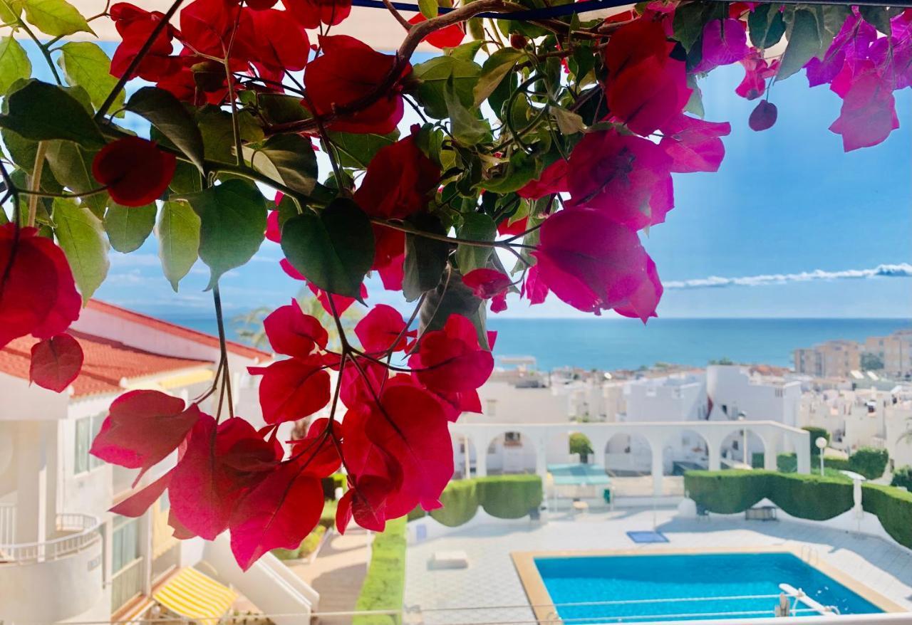 Seaview La Mata Pool&Beach ตอร์เรเวียคา ภายนอก รูปภาพ